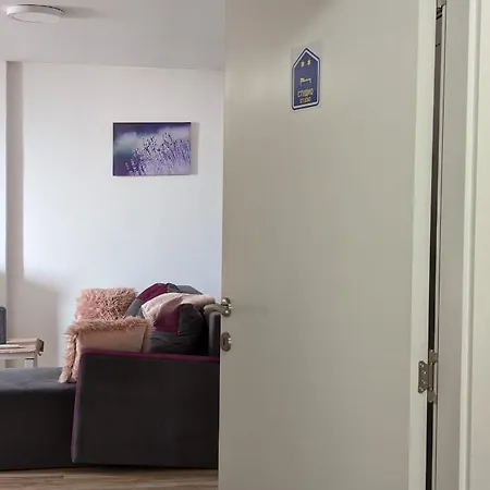 Smestaj Dzentlmen * Soko Banja