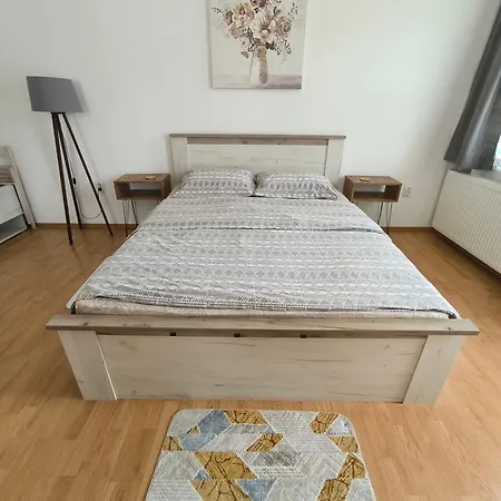 Apartment Smestaj Dzentlmen Soko Banja