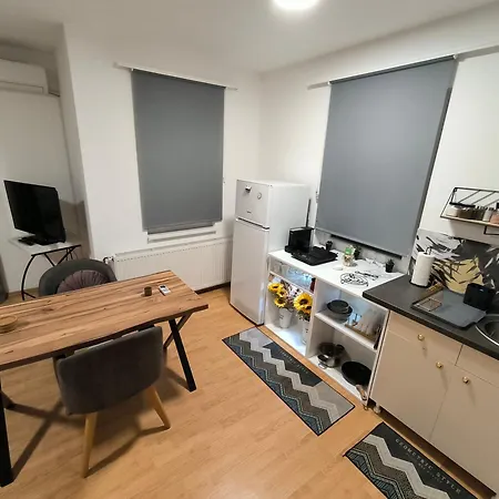 Apartment Smestaj Dzentlmen Soko Banja