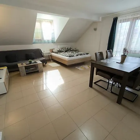 Smestaj Dzentlmen Soko Banja