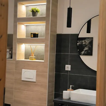 Apartment Smestaj Dzentlmen Soko Banja