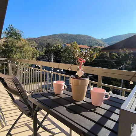 Smestaj Dzentlmen 소코 반자