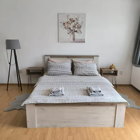 Apartment Smestaj Dzentlmen Sokobanja