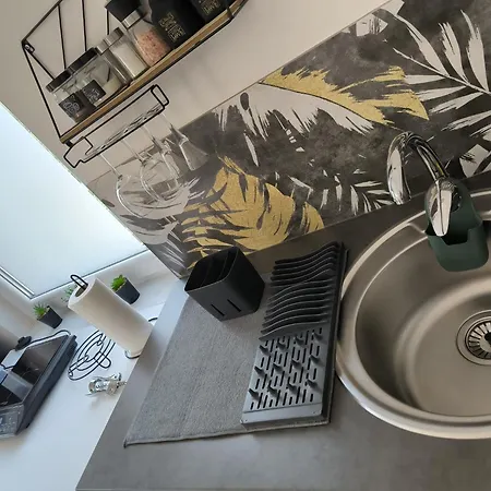 Smestaj Dzentlmen Apartman Soko Banja