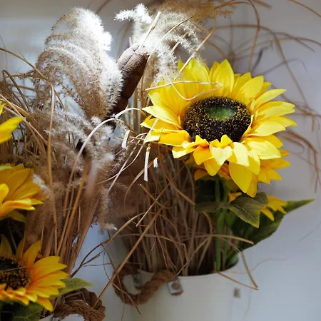 Smestaj Dzentlmen 아파트 소코 반자