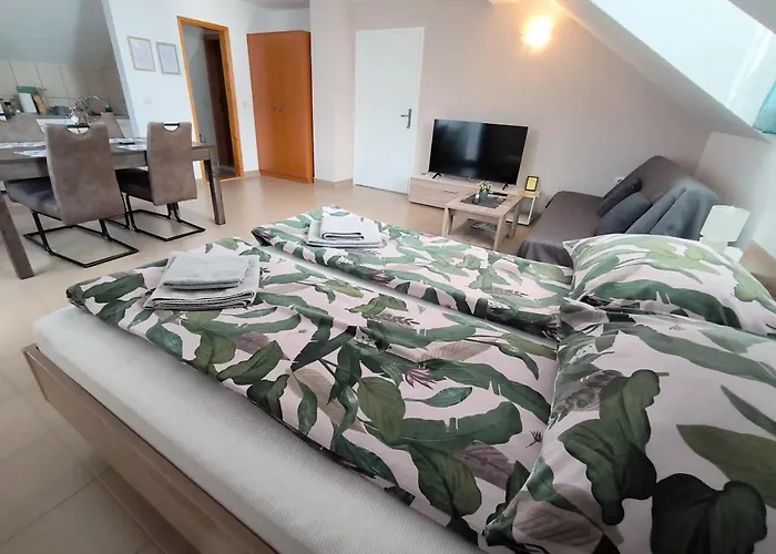 Apartament Smestaj Dzentlmen Sokobanja