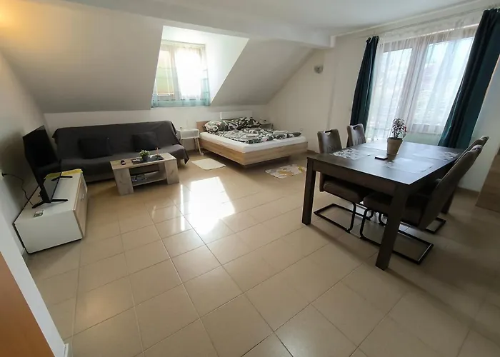 Smestaj Dzentlmen Sokobanja