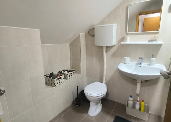 Apartament Smestaj Dzentlmen *