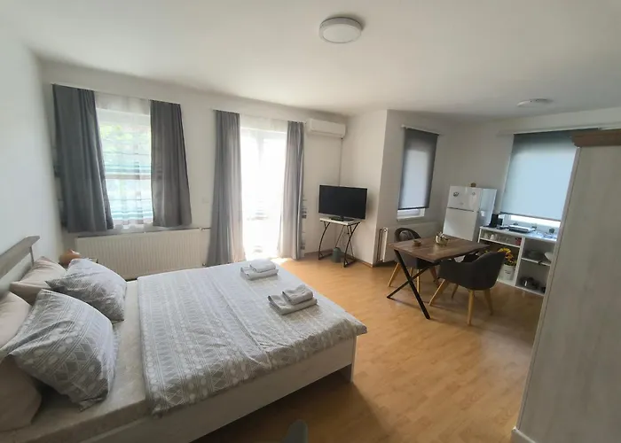 Smestaj Dzentlmen Apartament *