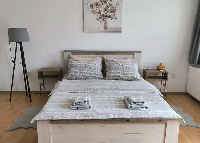 Apartament Smestaj Dzentlmen Sokobanja