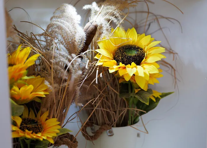 Smestaj Dzentlmen Apartament Sokobanja